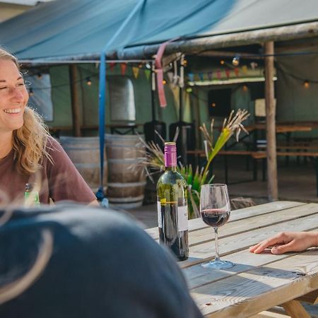 Family & Surfhostel Petten Eksteriør billede